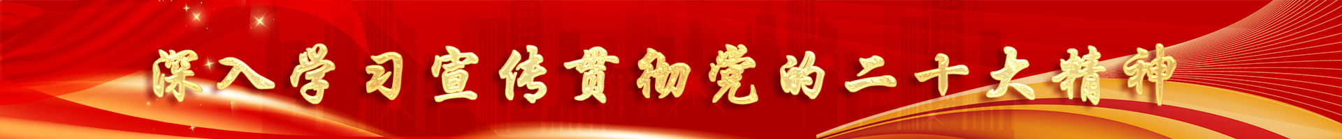 喜迎二十大，奮進(jìn)新征程 